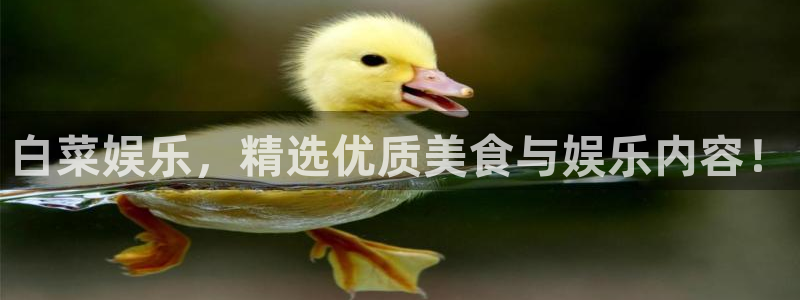 壹号电子娱乐app下载