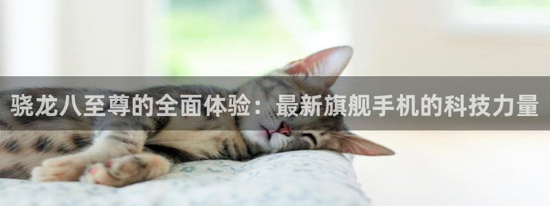 壹号平台app下载安装