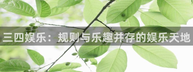 壹号大舞台28国际大舞台
