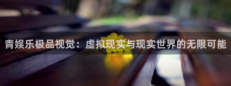天辰娱乐下载二维码