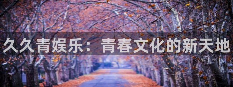 天辰娱乐平台官网入口下载