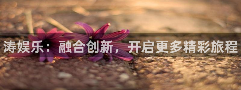 壹号电子娱乐app下载