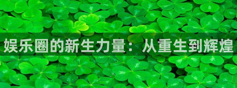 天辰娱乐加拿大下载