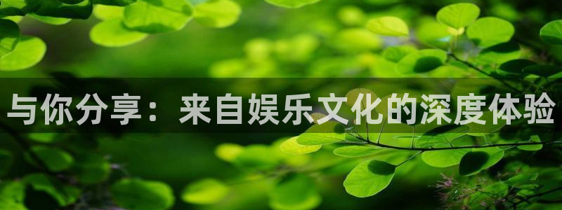 天辰娱乐网址
