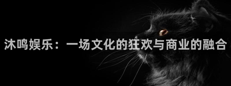 壹号电子娱乐app下载安装