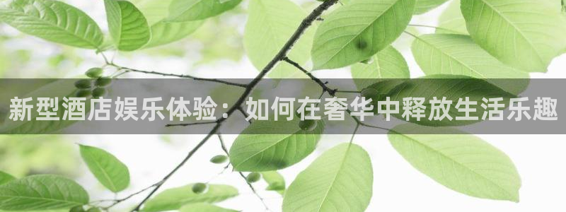天辰娱乐账号注册入口