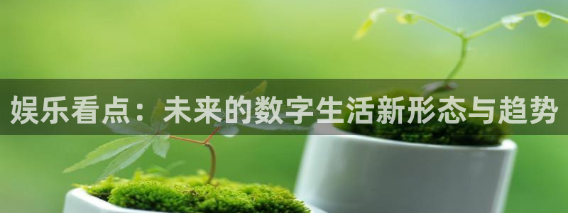 壹号app下载链接
