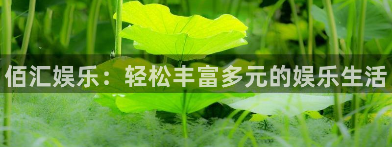 天辰娱乐平台官方入口下载