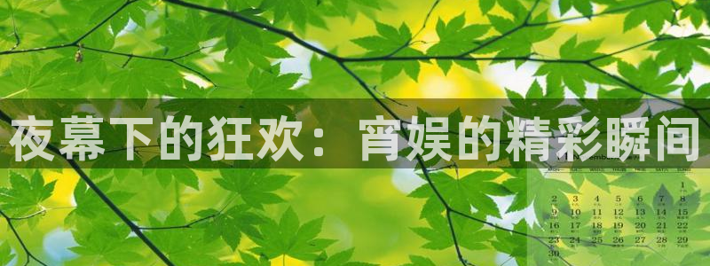 壹号大舞台怎么下载