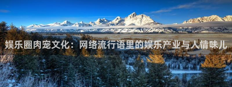 天辰娱乐官网版下载