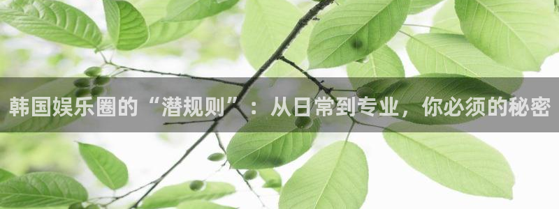 天辰娱乐电子游戏官网