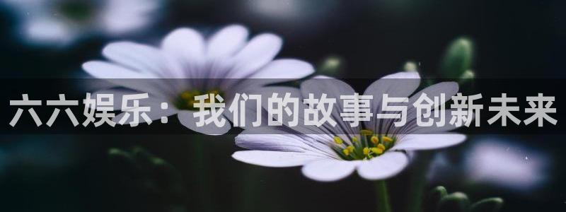 天辰娱乐(com.youad.authst)