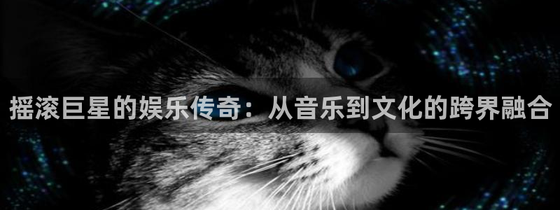 天辰娱乐,apk