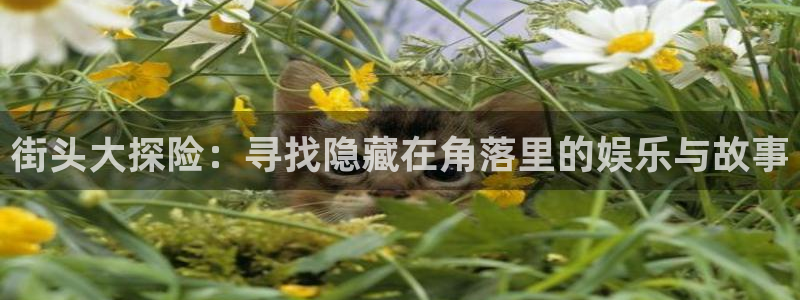 天辰娱乐平台登录