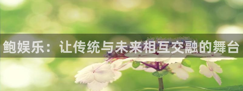 天辰娱乐app官网下载
