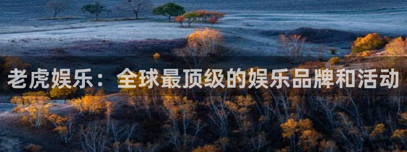 天辰娱乐是什么