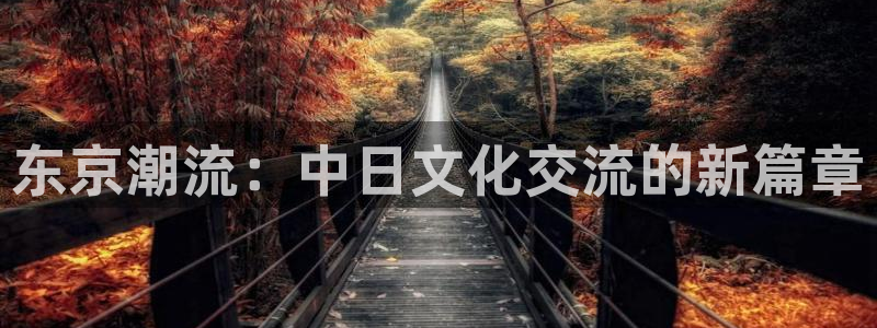 天辰娱乐注册平台：东京潮流：中日文化交流的新篇章