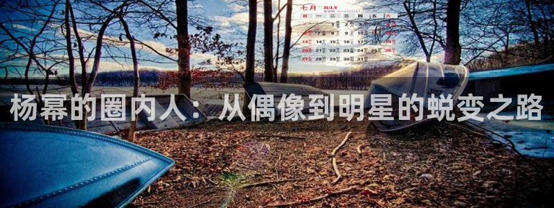 天辰娱乐app入口：杨幂的圈内人：从偶像到明星的蜕变之路