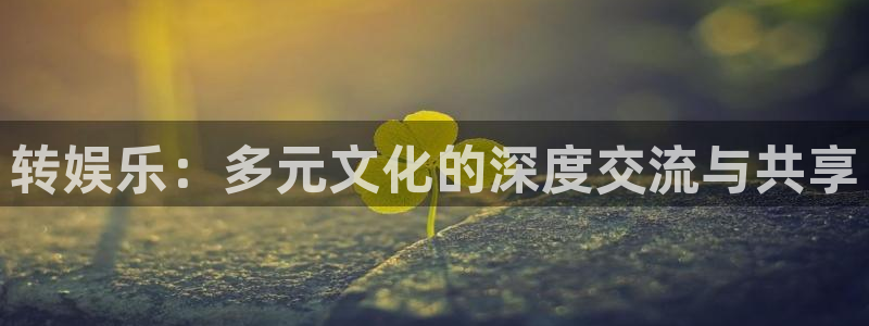 天辰娱乐注册入口与教程：转娱乐：多元文化的深度交流与共享